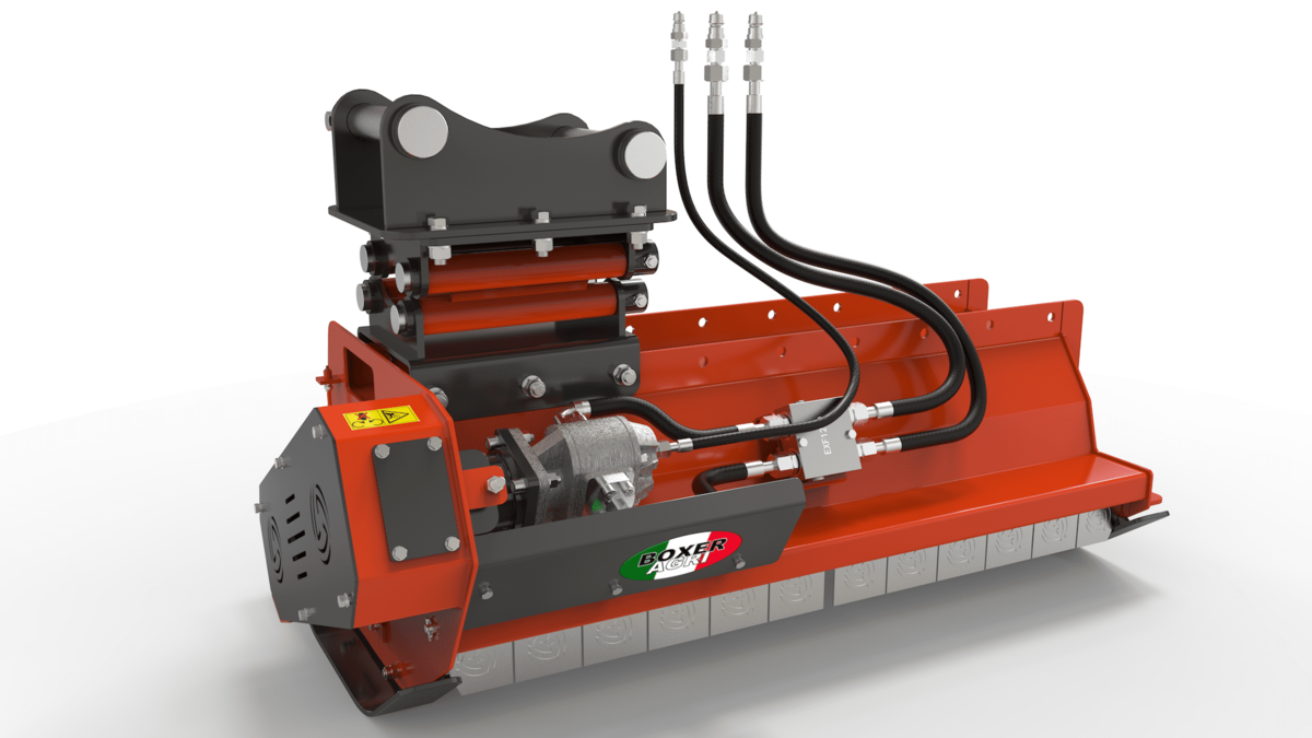 EXF BOXER3